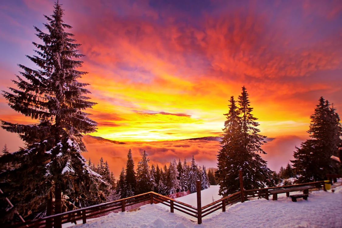 Prima lună de iană vine cu temperaturi ridicate FOTO Shutterstock