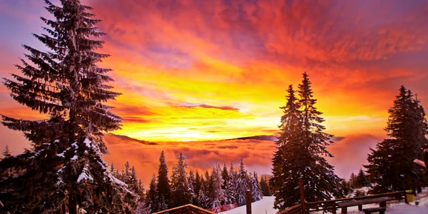 Iarna Poiana Brasov vremea FOTO Shutterstock jpg