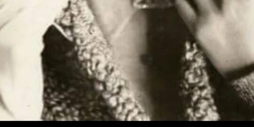 renee perle facebook