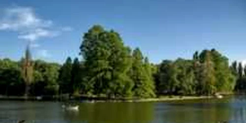 Parcul Nicolae Romanescu va intra într-un proces amplu de modernizare