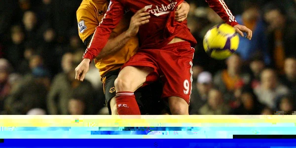 Fernando Torres