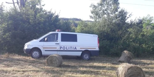 Politie Timiş