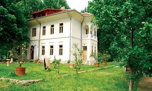 Mîncăruri regizate, filme degustate jpeg