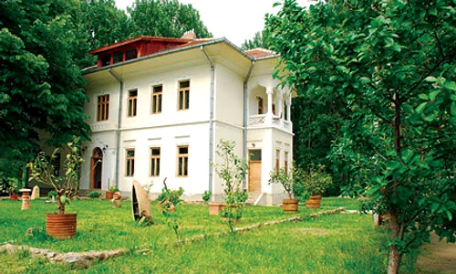 Mîncăruri regizate, filme degustate jpeg
