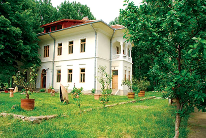 Mîncăruri regizate, filme degustate jpeg