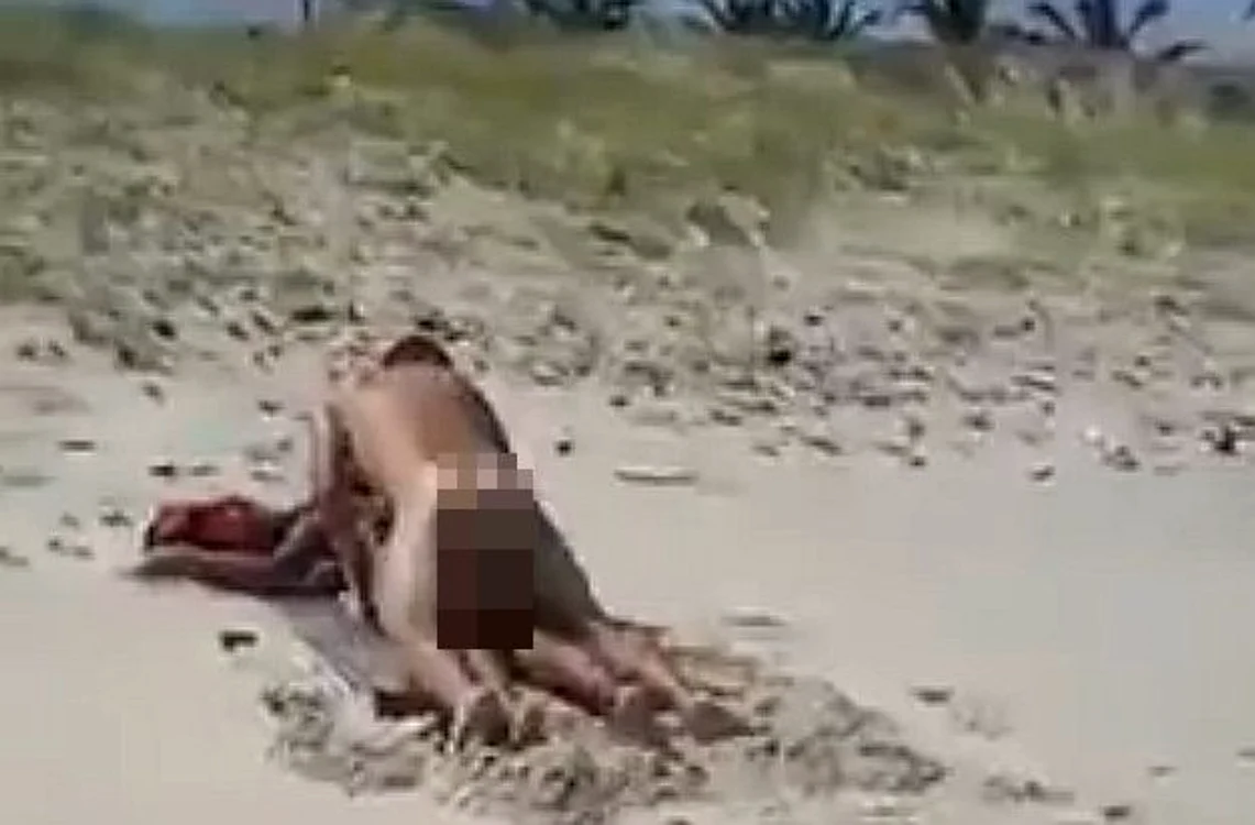 Cei doi amorezi nu s-au sfiit deloc de faptul că se aflau în public