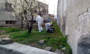 crima ploiesti 747x420 0 jpeg