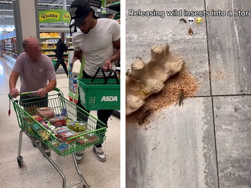 Noua modă pe TikTok. Influencerii aspiranți hărțuiesc cumpărătorii și personalul supermarketurilor pentru a câștiga urmăritori