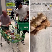 farse in supermarketuri foto tiktok png
