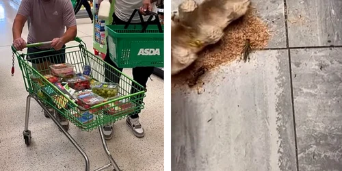 farse in supermarketuri foto tiktok png