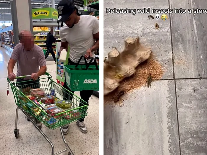 VIDEO Noua modă pe TikTok. Influencerii aspiranți hărțuiesc cumpărătorii și personalul supermarketurilor pentru a câștiga urmăritori
