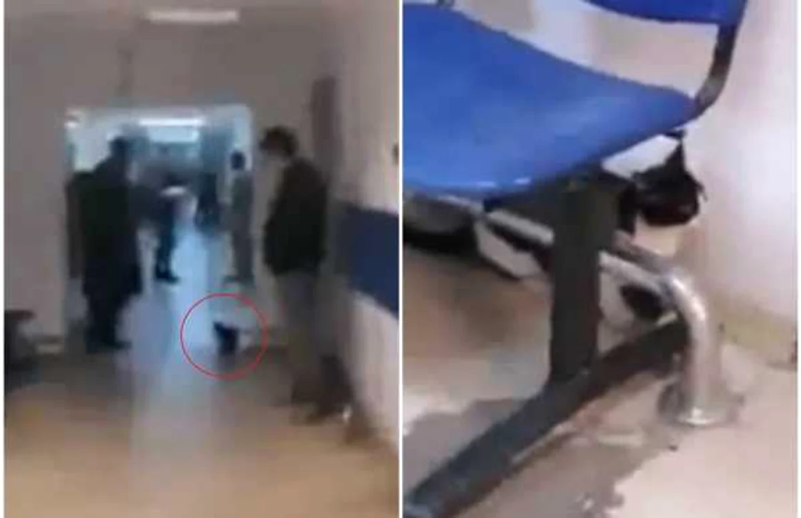FOTO Captură video