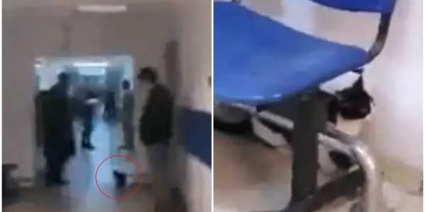 Pisica in tavan la spitalul din constanta 