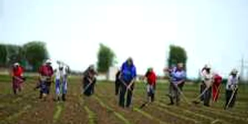 Ţăranii moldoveni au scos ţara din criză