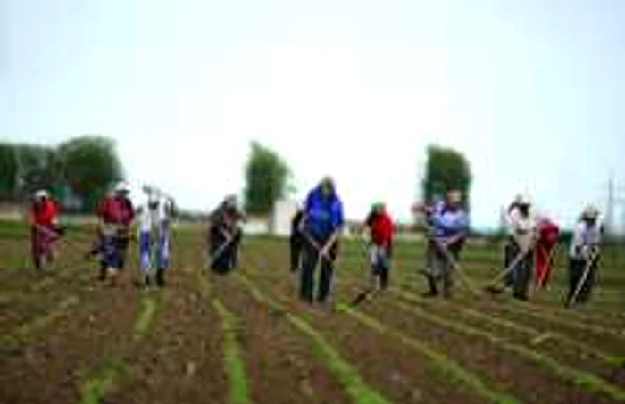 Ţăranii moldoveni au scos ţara din criză