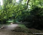 parcul dendrologic din simeria foto daniel guta adevarul