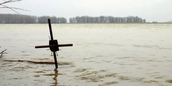 Dunărea peste cota de atenţie la Galaţi FOTO Costel Crângan