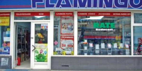 Un nou preşedinte pentru Consiliul de Administraţie al Flamingo