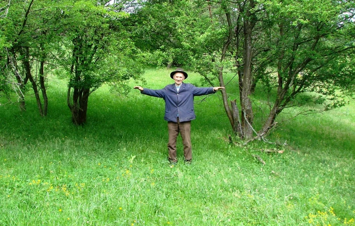 Martorul Petre Bogdan