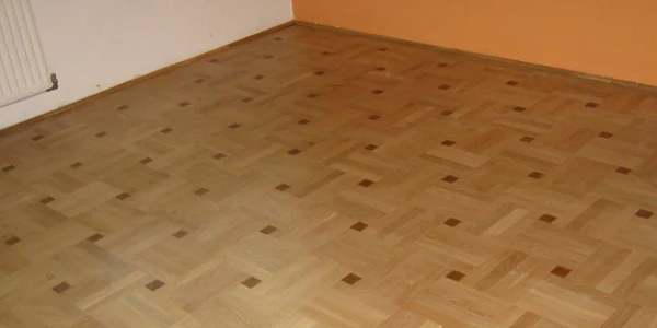 consiliul judetean salaj