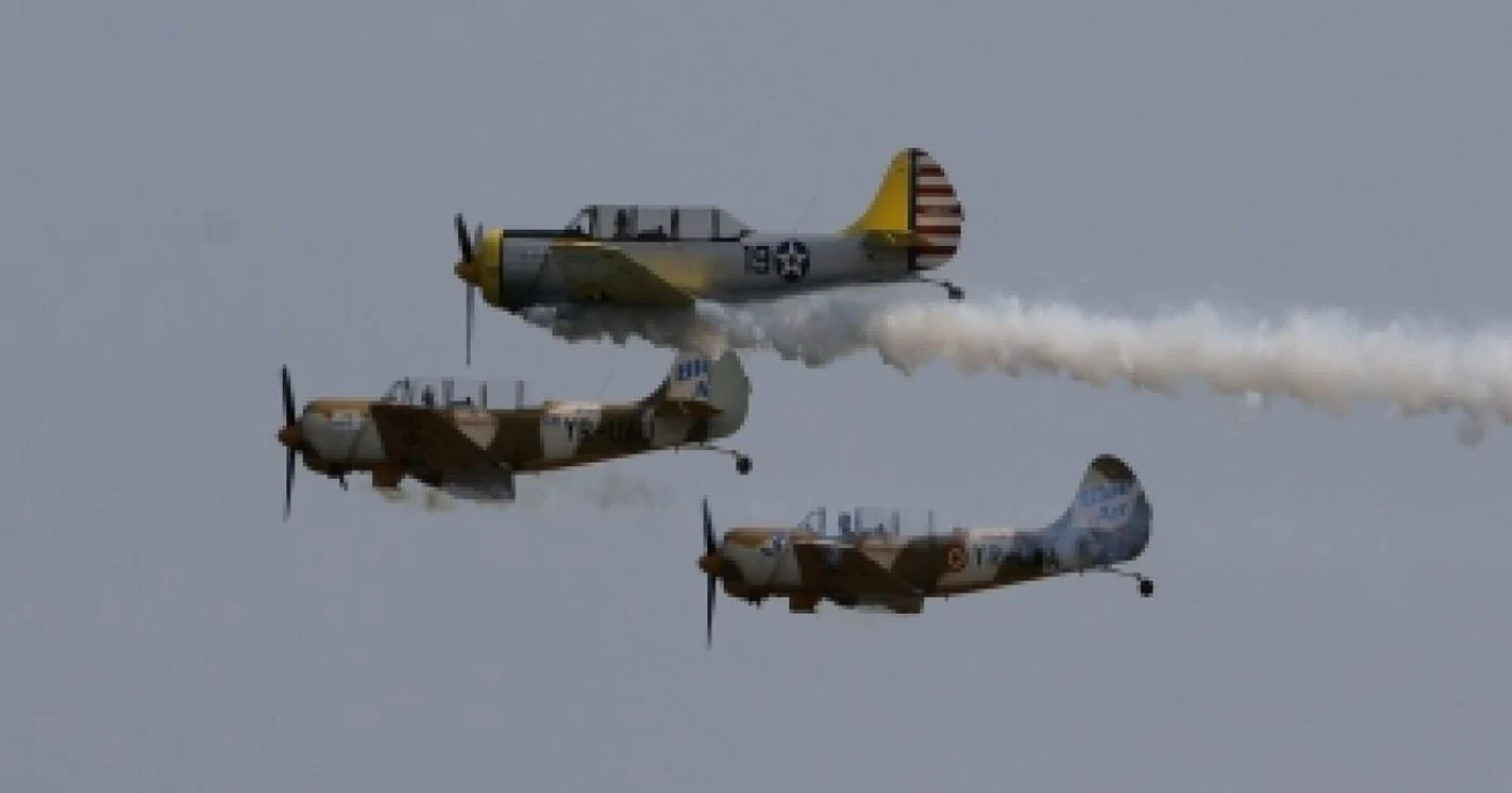 Constanţa: Show aviatic la Mangalia
