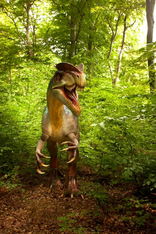 
    Dino Parc Râșnov este cel mai mare parc cu dinozauri din Europa de Est, cei mai curajoși se pot aventura într-o călătorie inedită în trecut, începând de vineri (12 iunie)foto: Facebook/Dino Parc Rasnov  