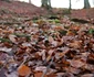 cetatea dacica piatra rosie foto adevarul daniel guta