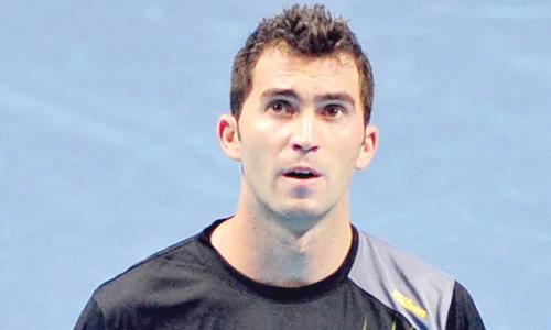 horia tecau jpeg