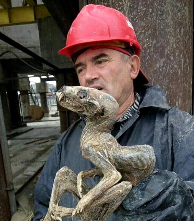Ciudata creatură este mumificată