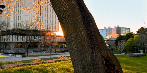 Universitatea Waterloo Canada, foto https://uwaterloo.ca/