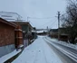 Satul Cerbăl din Hunedoara  Iarna  Foto Daniel Guță (17) jpg