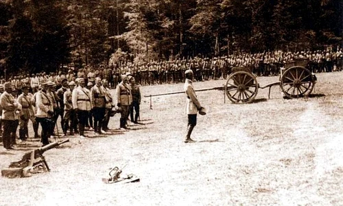 Istorie din plin în 2014 jpeg