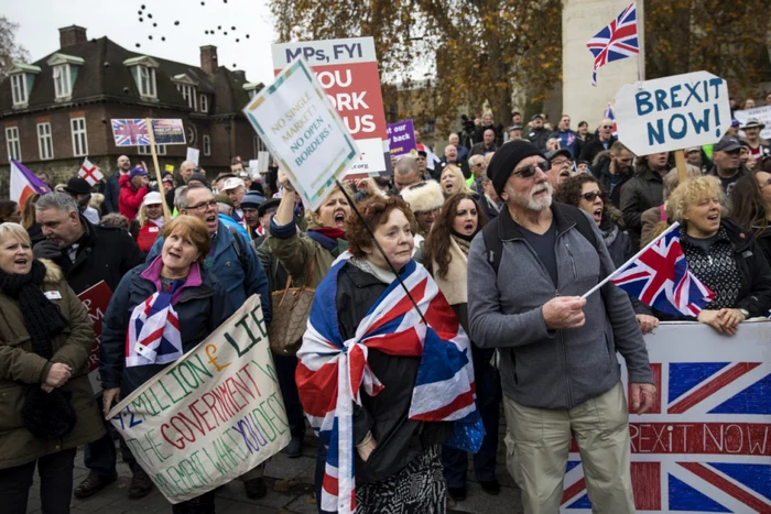 proteste brexit