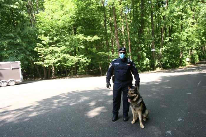 Azi, polițiștii și jandarmii au patrulat prin păduri pentru a descuraja eventualii petrecăreți
