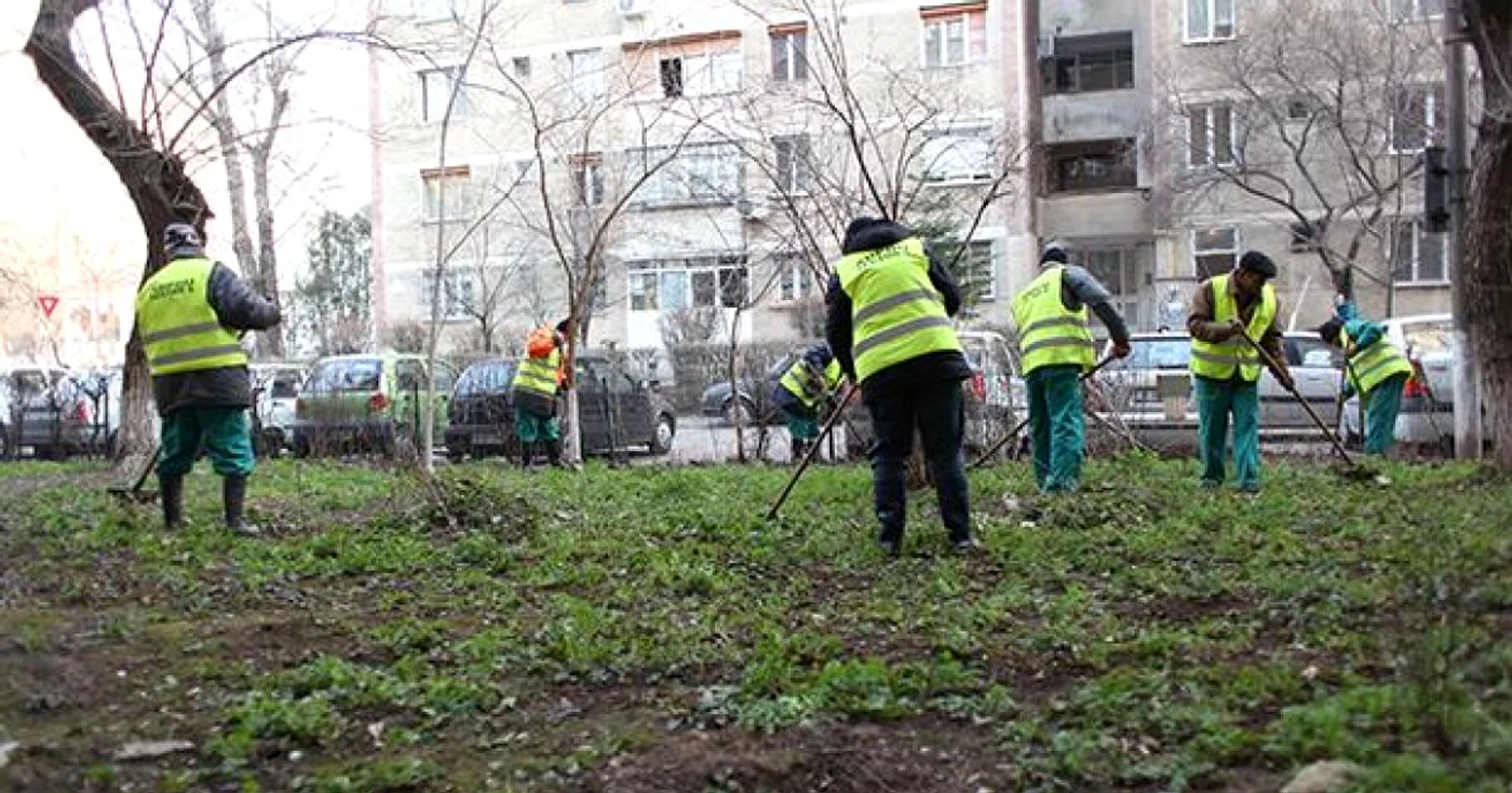 Primăria caută firmă care să se ocupe de curăţenia oraşului. FOTOArhivă.