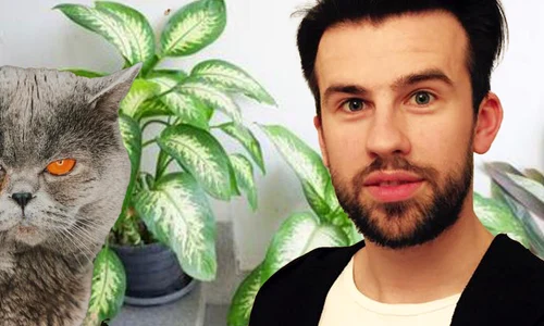 banner florin ristei png