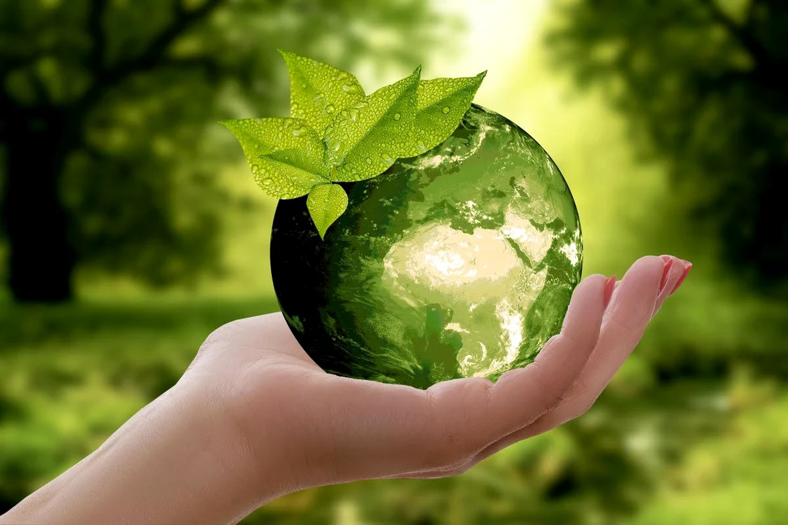 Sursă foto: Pixabay
