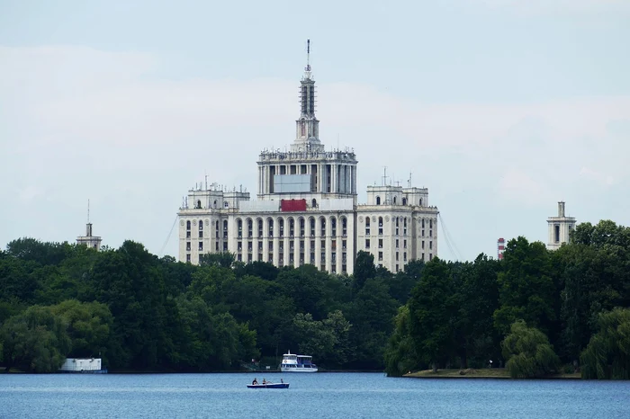 Șoimul călător trăiește în zonele înalte, iar în București este văzut foarte rar / foto: Pixabay