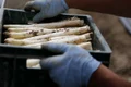 asparagus 489692 1280 jpg
