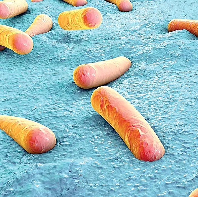 
    Toţi elevii din şcoală au  fost testaţi în vederea diagnosticării TBC  