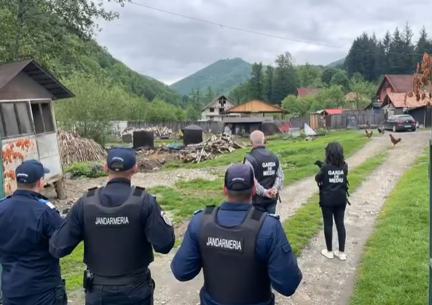 Localnicii dintr-o comună din Gorj, amendați de comisarii de mediu. Cei mai mulți dintre ei trăiesc din producerea de mangal VIDEO