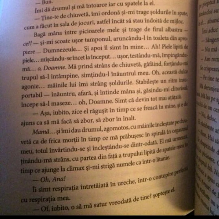 Scenă de sex firebinte, descrisă într-un roman