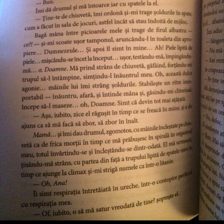Scenă de sex firebinte, descrisă într-un roman
