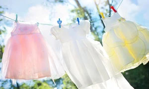 clothesline 804812 1280 jpg