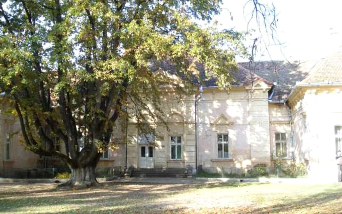 cetatea lonyai