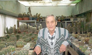 cactus jpeg