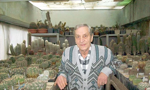 cactus jpeg