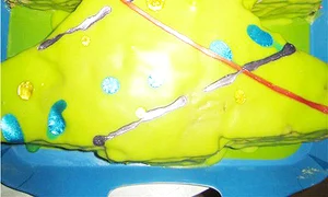 CLIIMA20120106 0055 1 jpeg