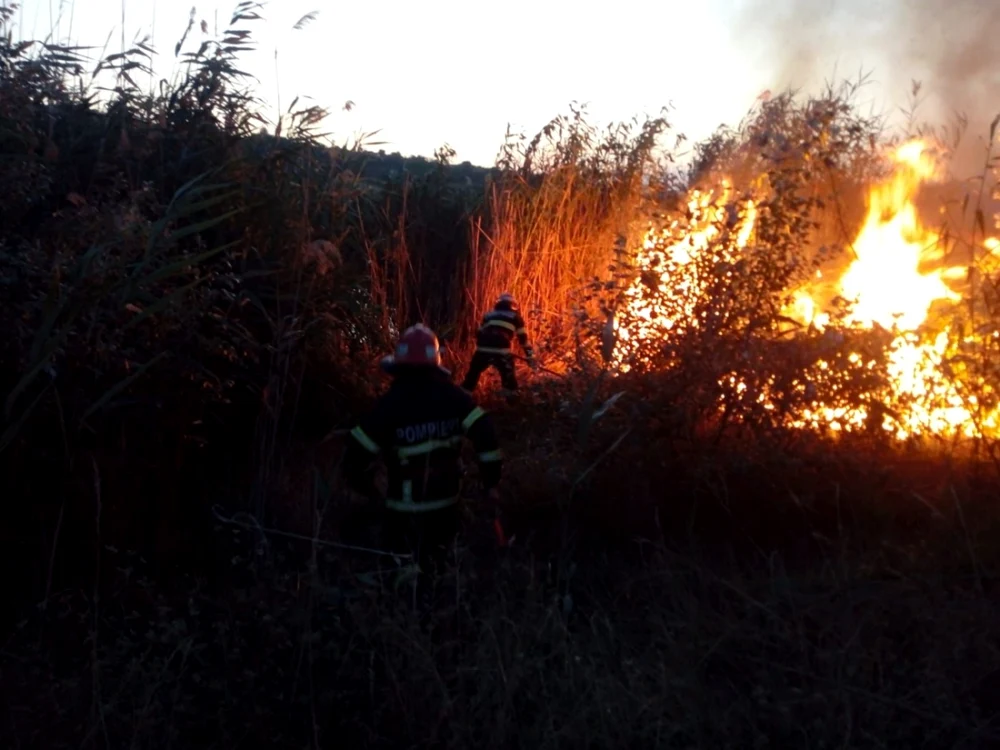 Incendiu Zaghen FOTO ISU Delta Tulcea