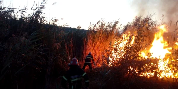 Incendiu Zaghen FOTO ISU Delta Tulcea 